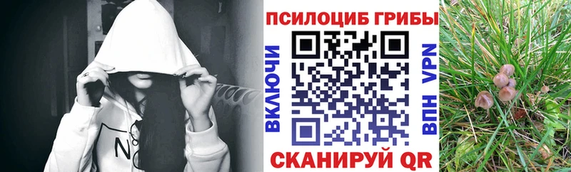 купить сайты Мамоново Псилоцибиновые грибы мицелий